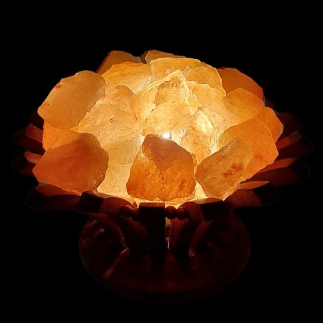 ohnivy-kvet-solna-lampa-2kg-bionakupy-1795