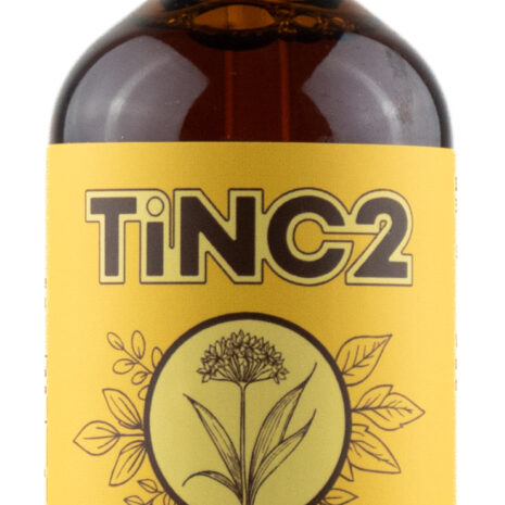 5412-2_tinktura-medvedi-cesnak-100ml