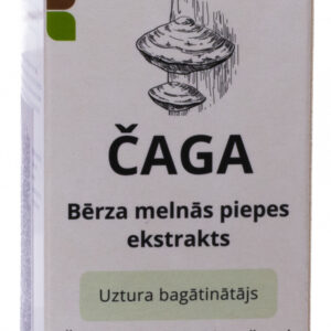 Befungin - Extrakt 1:5 z brezovej huby - Čaga (Ryšavec šikmý) 140ml